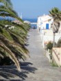 /album/calasetta-il-paese/a528278-205991732847318-1211083609-n-jpg/