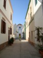 /album/calasetta-il-paese/a545119-205992802847211-83753614-n-jpg/